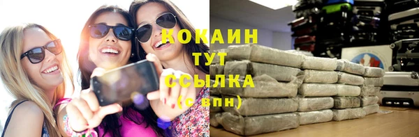 тгк Бородино