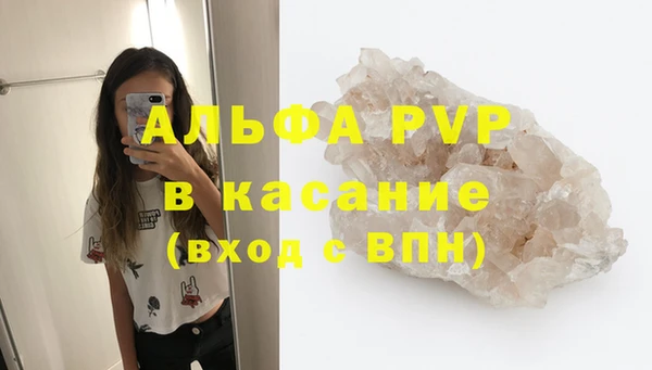 тгк Бородино
