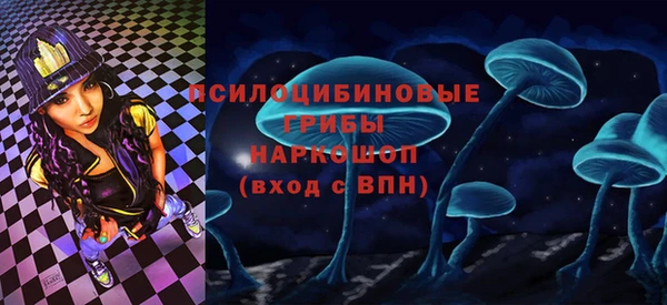 тгк Бородино