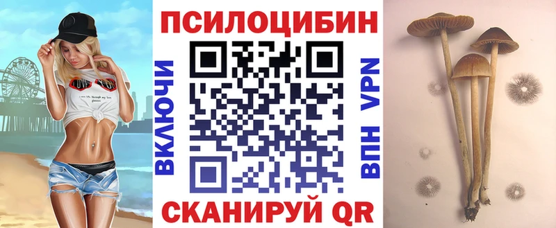 Галлюциногенные грибы Magic Shrooms Волосово