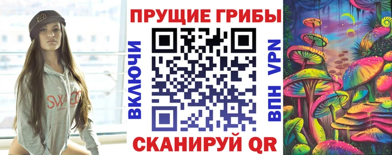 Купить где  Волосово  Галлюциногенные грибы мицелий 